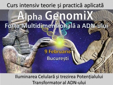 Curs Activarea Multidimensionala a celor 12 siruri ADN