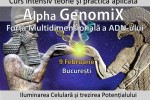 See Curs Activarea Multidimensionala a celor 12 siruri ADN details