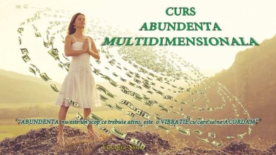 Cursul abundenta multidimensionala(conferinta gratuita)