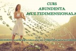 See Cursul abundenta multidimensionala(conferinta gratuita) details