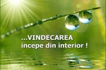 See Sedinte terapie florala Bach, 12 septembrie 2020, Constanta details
