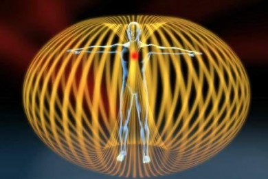 Anatomia energetica a corpului uman