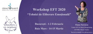 Baia mare. workshop „tehnici de eliberare emotionala†(eft)