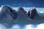 See Breathing ceremony with Alina(Shraddha) details