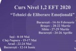 Vedeti detalii pentru Bucuresti.curs nivel 1,2 â€žtehnici de eliberare emotionalaâ€ (eft)