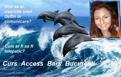 Curs Access Bars Bucuresti