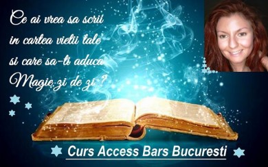 Curs Access Bars in Bucuresti
