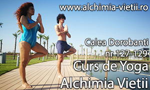 Curs de Hatha Yoga
