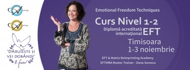 Curs EFT Nivel 1 si 2 cu Oana Sorescu la Timisoara