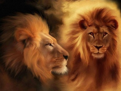 Lion reiki-initiere la distanta