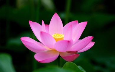 Mantra Workshop