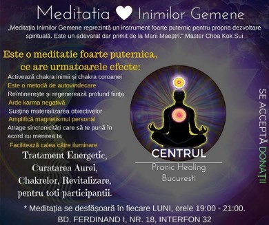 Meditatia Inimilor Gemene