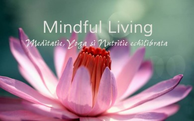 Mindful Living - Modul I