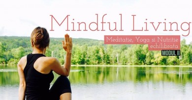 Mindful Living - Modul II
