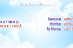 Vedeti detalii pentru Originea Fricii si Eliberarea de Frica