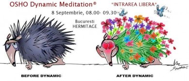OshoÂ® dynamic meditation - open doors event