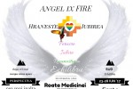 See Roata Medicinei AngelixFIRE 5 zile intensiv: 23-28 Iunie 2017 #1/4: SUD Sarpe details