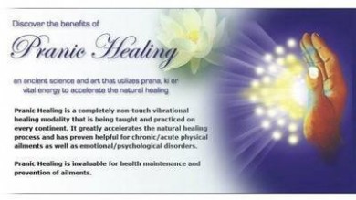 Seminar de baza Pranic HealingÂ© cu Stefan Weiss