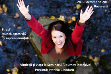 Seminar Journey Intensive