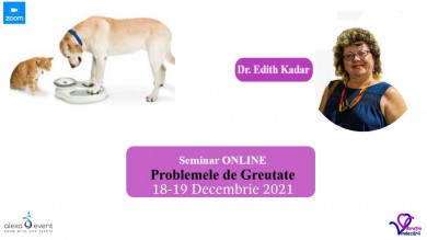 Seminar Online cu dr Edith Kadar. Problemele de greutate