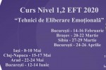 Vedeti detalii pentru Sibiu. Curs Nivel 1,2 â€žTehnici de Eliberare Emotionalaâ€ (EFT)