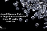 Vedeti detalii pentru Sibiu.Sistemul Diamond Cutter aplicat in gestionarea afacerilor