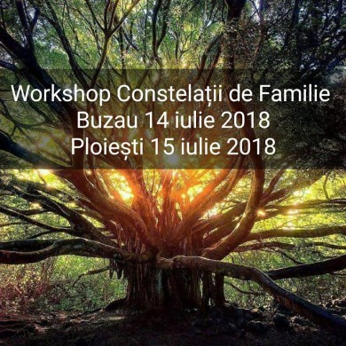 Workshop Constelatii de Familie Ploiesti 15 Iulie 2018