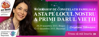 Worksop de Constelatii Familiale